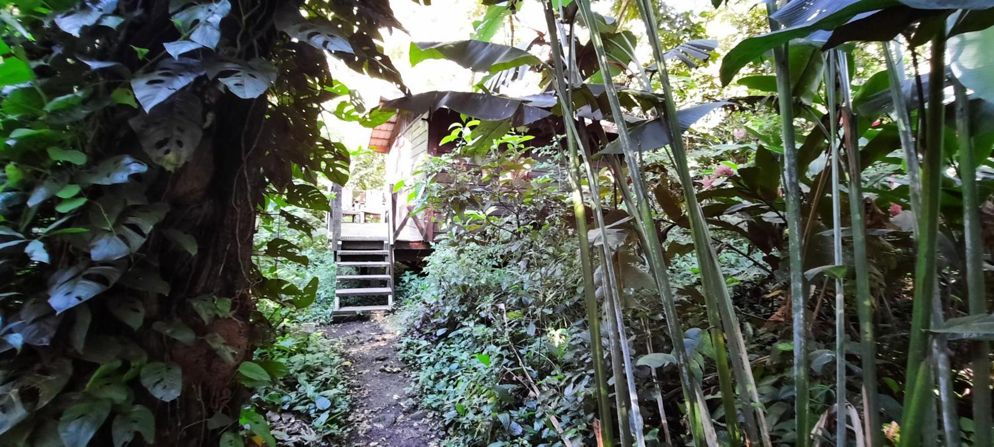 Mombacho Lodge Granada Exteriör bild