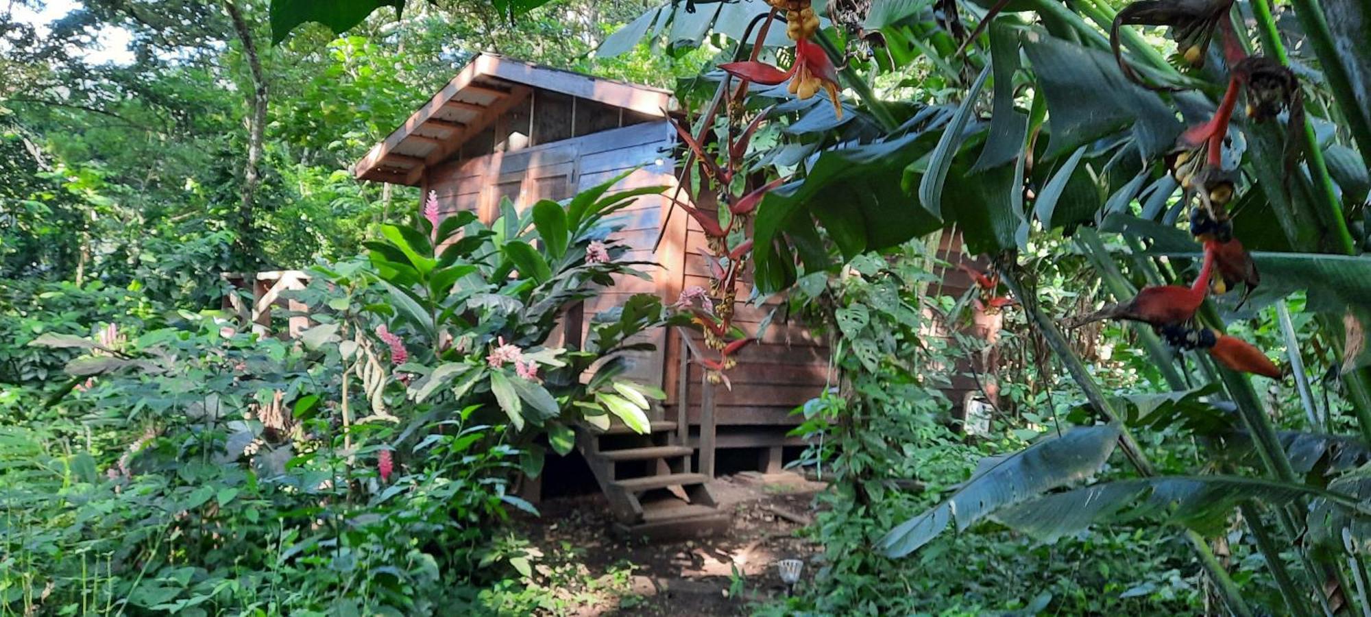 Mombacho Lodge Granada Exteriör bild