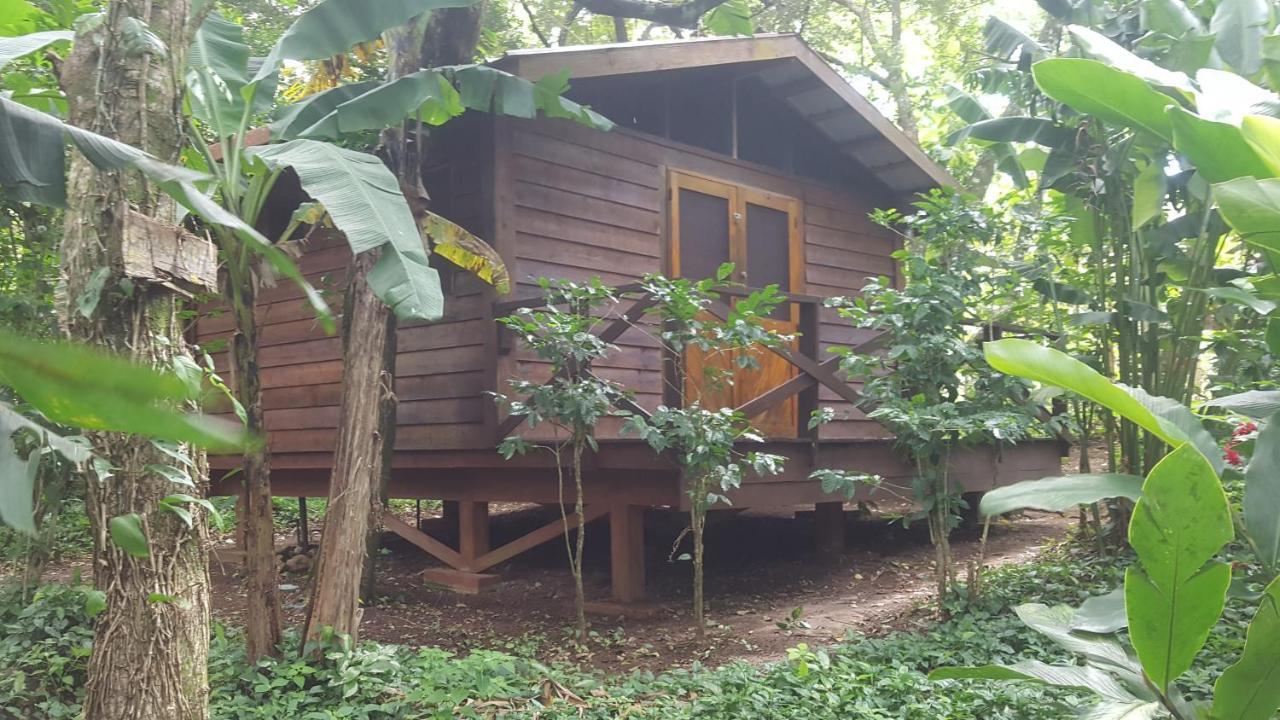 Mombacho Lodge Granada Exteriör bild